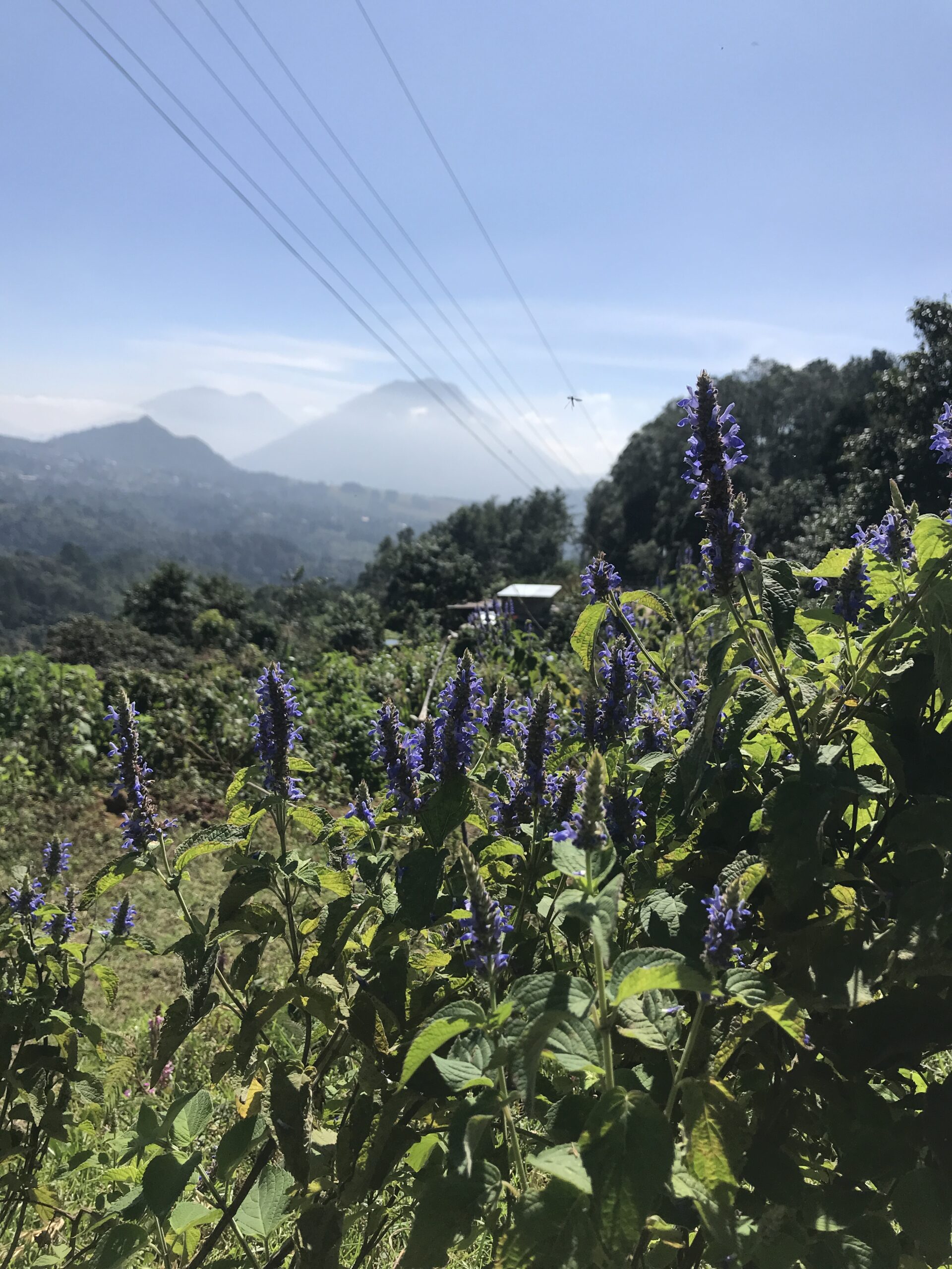 Hiking Through the Highlands of Guatemala: Day 2