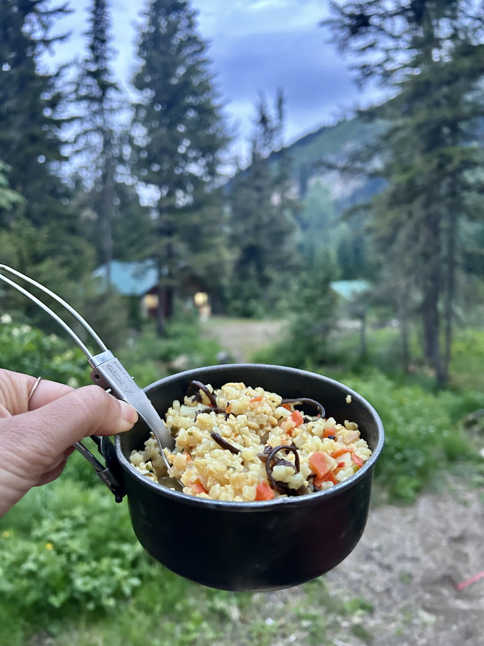 Backcountry Comfort Foods: Vegan “Chicken” Noodle Soup