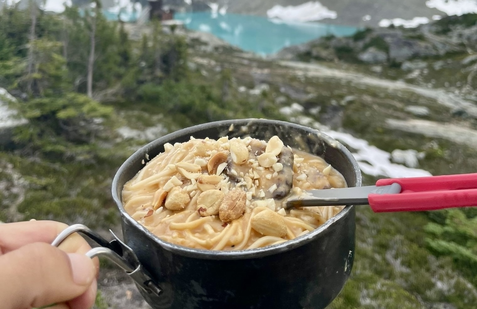 Spicy Vegan Dan Dan Noodles