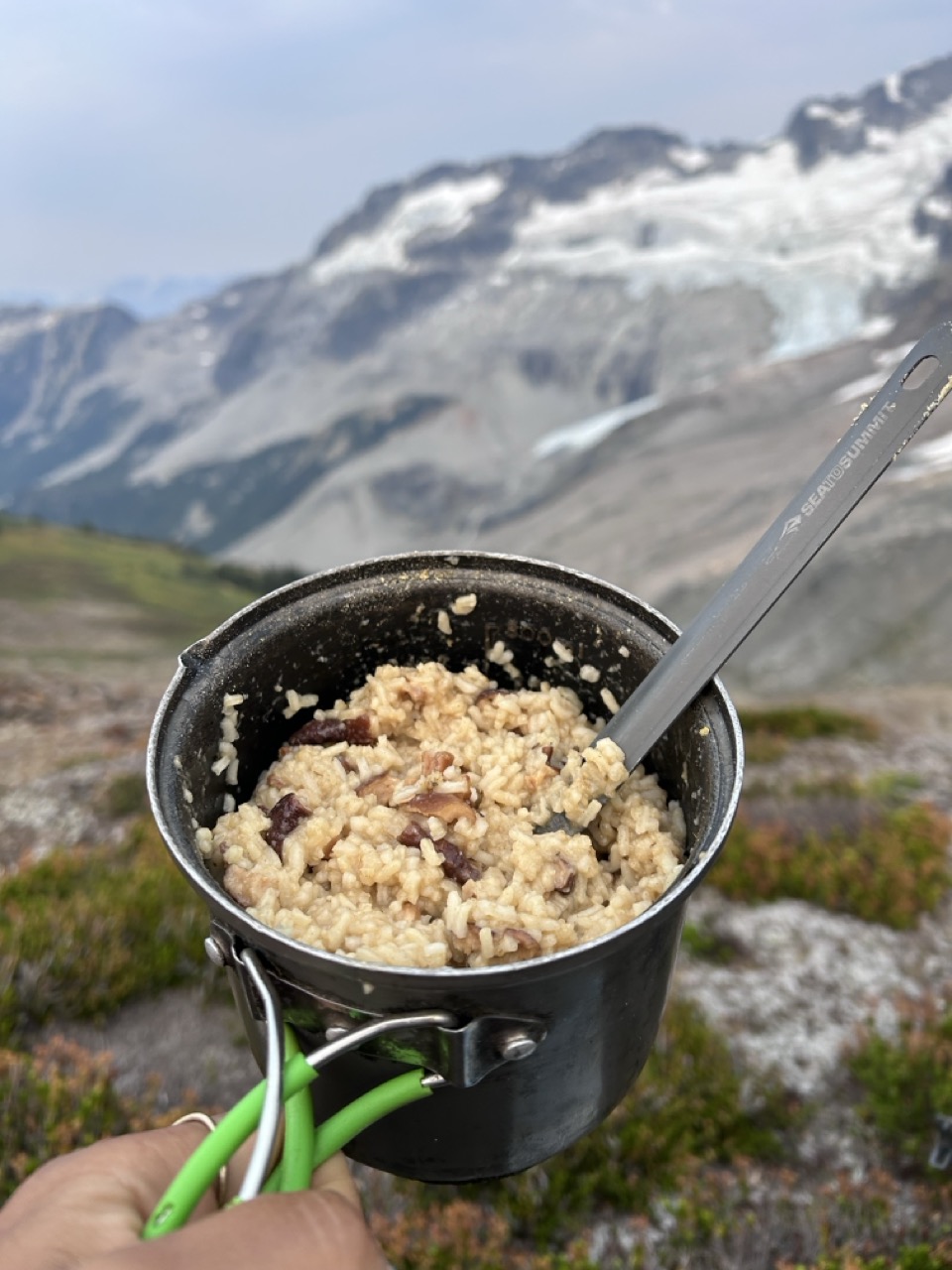 Miso Butter Mushroom Risotto