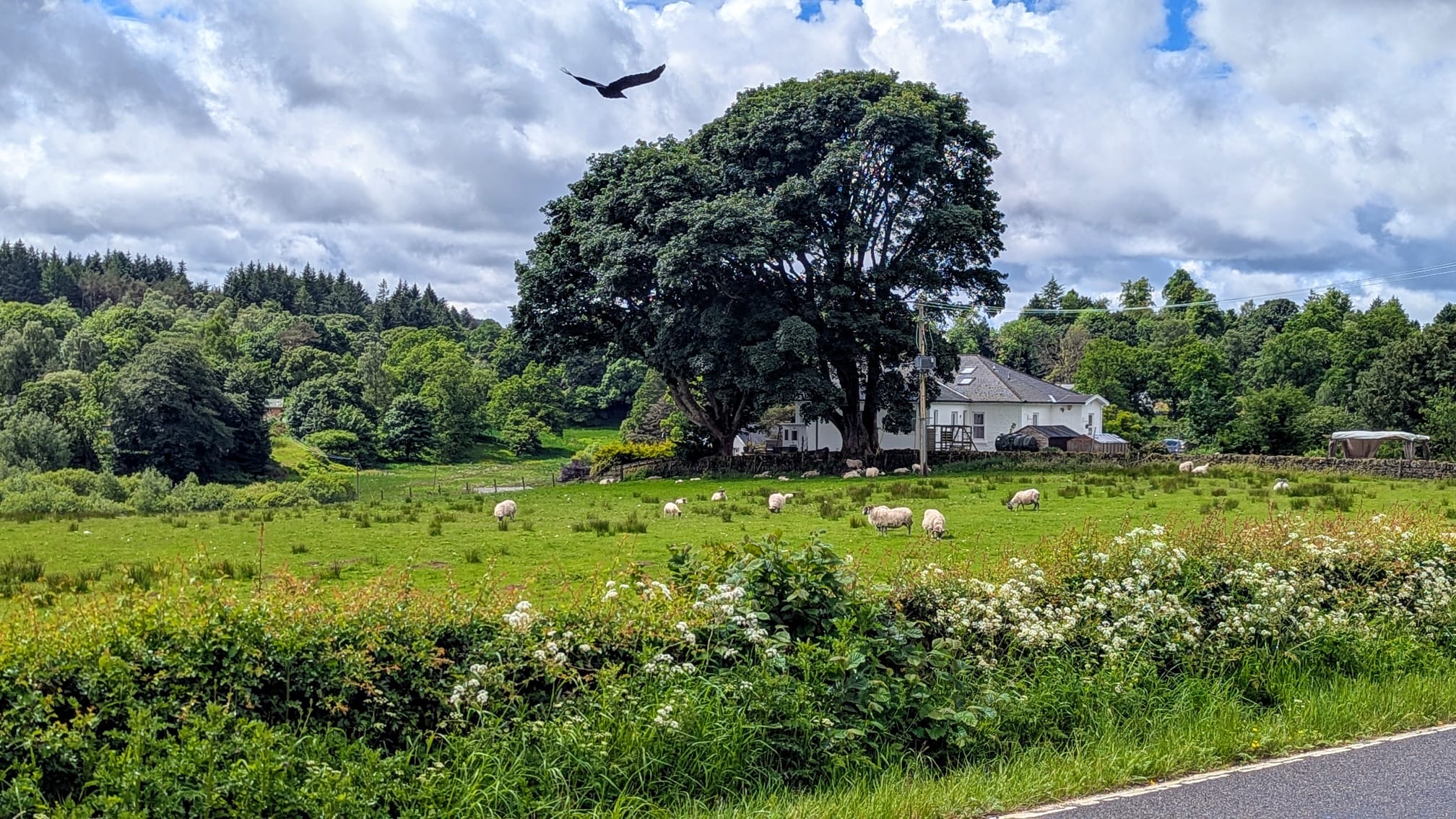 Hillwalking in Scotland: Part 2, West Highland Way Days 1-4